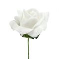 Floristik24 Rosa de espuma Ø 3,5 cm branco 48 peças