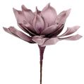 Floristik24 Flor de espuma Magnolia Berry Ø15cm C 67cm
