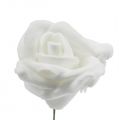 Floristik24 Rosas de espuma brancas Ø 3,5 cm 20 unidades