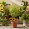 Ramo artificial de ruscus verde para decoração floral, 41 cm | Floristik24.pt