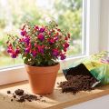 Terra para vasos FlorBest Gardener's com argila natural e fertilizante de liberação lenta 5 litros | Floristik24.pt
