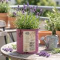 Vaso decorativo vintage em metal roxo, decoração de verão, Ø11cm A10,5cm | Floristik24.pt
