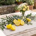 Decorações artificiais de limão amarelo, 18 peças - Metades de limão realistas | Floristik24.pt