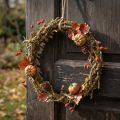 Guirlanda decorativa, natural, Ø33cm, líquen, musgo, guirlanda para porta, decoração de mesa, decoração de parede | Floristik24.pt