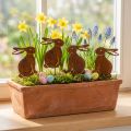 Decoração de jardim, coelho da Páscoa enferrujado, suporte para flores, metal, 7×9cm, 6 peças | Floristik24.pt