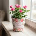 Floreira, balde para plantar, floreira com rosa A13cm Ø13,5cm | Floristik24.pt