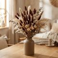 Arranjo floral seco, grama decorativa, Lagurus Brown L20–50cm 25g | Floristik24.pt
