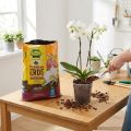 Substrato FRUX para orquídeas (5 litros) | Floristik24.pt