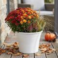 Pote de plástico “Irys” branco Ø29cm Alt.24cm 1 un. | Floristik24.pt