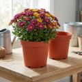 Vaso de plástico Ø21cm 10 unidades | Floristik24.pt