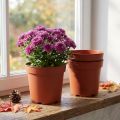 Vaso de plástico Ø17cm 10 unidades | Floristik24.pt
