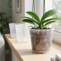 Vaso para orquídeas Ø12cm transparente 10 unidades | Floristik24.pt