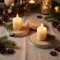 Fatias redondas de bétula, naturais, 10 unidades – Decoração e Artesanato, Casamento, Natal | Floristik24.pt