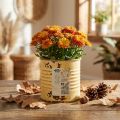 Vaso decorativo de metal, cor damasco, para plantas, Ø8cm A7,5cm | Floristik24.pt