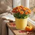 Vaso de flores de vidro vaso de plantas amarelo banheira de vidro Ø14.5cm H12.5cm | Floristik24.pt