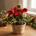 Plug flor Natal Pacote de Natal 2,5cm 15 un | Floristik24.pt