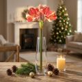 Amarílis Artificial Rosa e Creme – Flor Caule Grande 76cm | Floristik24.pt