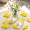 Decoração de mesa com fatias de limão artificiais, 24 peças, para o verão. | Floristik24.pt