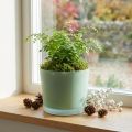 Vaso de flores de vidro plantador verde banheira de vidro Ø14.5cm H12.5cm | Floristik24.pt