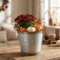 Vaso decorativo com alças, balde para plantas, recipiente de metal, prateado, aço patinado, Ø17cm A16,5cm | Floristik24.pt