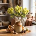 Galinha Gorda Verde Sedum Stonecrop Flores Artificiais 41 cm 3 unidades | Floristik24.pt