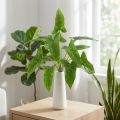 Bouquet de hera dourada encadernação artificial verde 40cm | Floristik24.pt