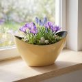 Planta barco tigela decorativa amarela primavera 20x9x12cm | Floristik24.pt