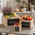 Caixas rústicas de madeira com superfície de lousa – naturais e pretas, vários tamanhos – solução de organização versátil – conjunto de 3 | Floristik24.pt