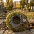 Coroa de musgo, coroa decorativa, musgo verde com musgo orelha-de-rato, natural, Ø30cm | Floristik24.pt