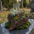 Coração de videira para plantar a natureza 30cm x 25cm | Floristik24.pt