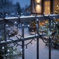 Cadeia leve LED de arroz 40s 3m para branco frio externo | Floristik24.pt