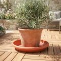 Base para copos “Linda” Ø44cm terracota | Floristik24.pt