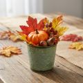 Plantador com decoração de folhas, recipiente de metal para o outono, balde verde para plantas Ø10cm Alt.10cm | Floristik24.pt