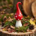 Deco Fly Agaric Cerâmica Deco Cogumelo Vermelho Branco Ø6,5cm A21cm | Floristik24.pt