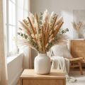 Elegante decoração com ramos de painço para arranjos florais. | Floristik24.pt