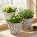 Vaso para plantas com aparência de casca de árvore, ideal para decoração de interiores rústica e arranjos de plantas, 12 cm, conjunto com 4 peças. | Floristik24.pt