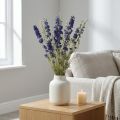 Delphinium seco, floricultura seca, azul delphinium L64cm 25g | Floristik24.pt