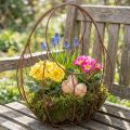 Cesto de arame, floreira de metal, decoração de primavera, cesto de Páscoa, marrom, acabamento enferrujado, 34 cm de altura x 30 cm de largura. | Floristik24.pt