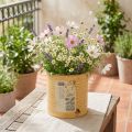 Vaso decorativo de metal cor damasco para plantas, decoração de verão, Ø15,5cm A15cm | Floristik24.pt