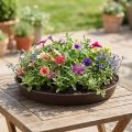 Anel de planta "Rondino" Ø35-55cm, 1pce | Floristik24.pt