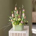 Vaso oval para plantas, verde, plástico, 20×10×11cm, 3 unidades | Floristik24.pt