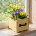 Gaveta de plantas caixa de plantas decorativas em madeira amarelo 12,5 cm | Floristik24.pt