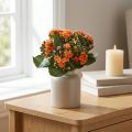 Flaming Käthchen Kalanchoe laranja artificial 24cm | Floristik24.pt