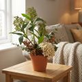 Flores artificiais verdes de Skimmia japonica, 45 cm, 2 peças. | Floristik24.pt