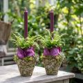 Vaso rústico com aparência de floresta Ø12,5cm H12cm 2 unidades | Floristik24.pt