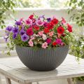 Vaso plástico antracite Ø35cm A16,5cm | Floristik24.pt