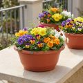 Vaso plástico para plantas Ø27cm redondo terracota 5 peças | Floristik24.pt