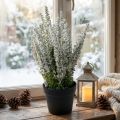 Erika vassoura urze branca planta artificial urze H26cm | Floristik24.pt