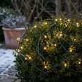 Rede de luz externa para buxo, cordão de luzes com 60 LEDs, Ø35cm | Floristik24.pt