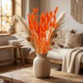Flor seca de rabo de lebre laranja, 50-60cm, 50g - Lagurus aveludados para decoração de mesa e artesanato. | Floristik24.pt